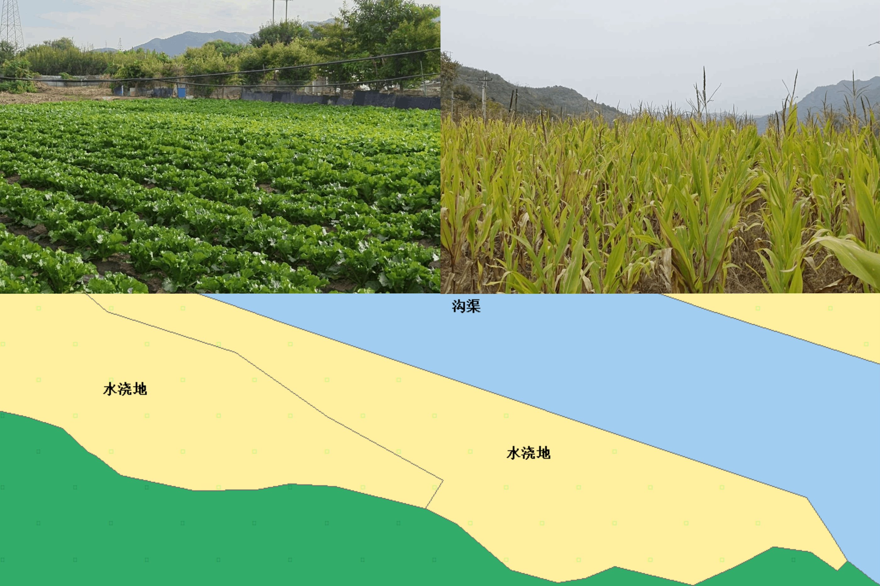 451AE1636B506F91D62ED6898ADF3EF9.jpg 451AE1636B506F91D62ED6898ADF3EF9.jpg